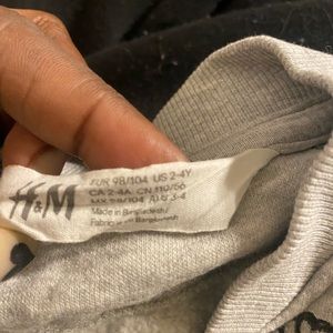 Gray Dinosaur zip up sweatshirt